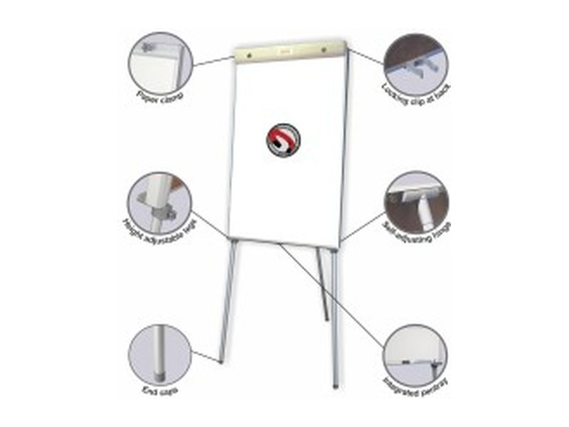 Parrot magnetic flipchart