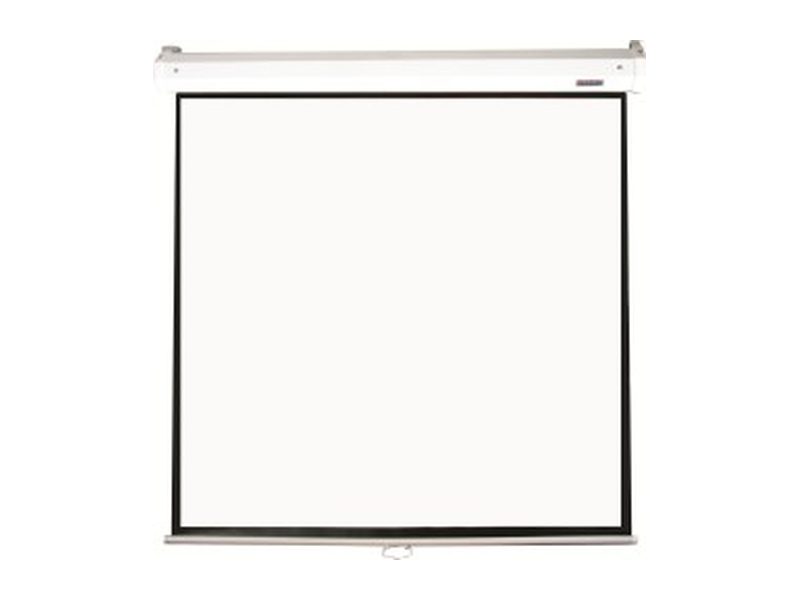 Parrot pull-down projector screen